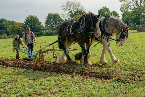 #Straight Furrows