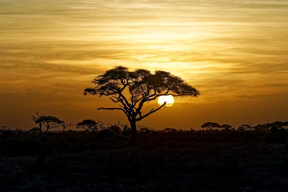 #Glorious Sunsets